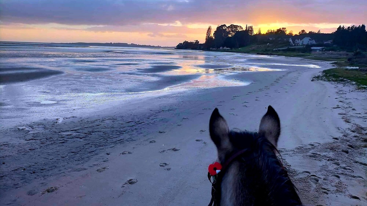 Photo of Others in Whakamarama