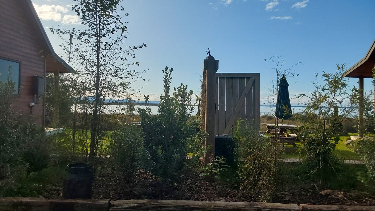 Photo of Outdoor in Whakamarama