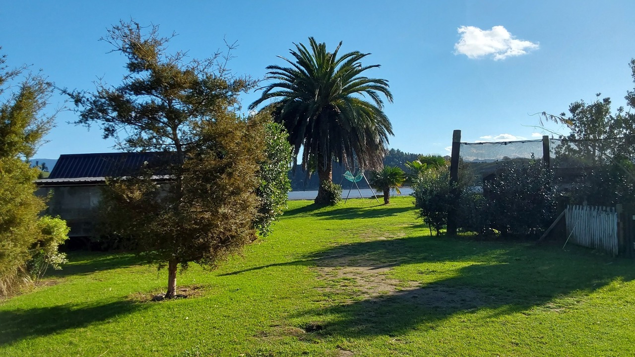 Photo of Outdoor in Whakamarama