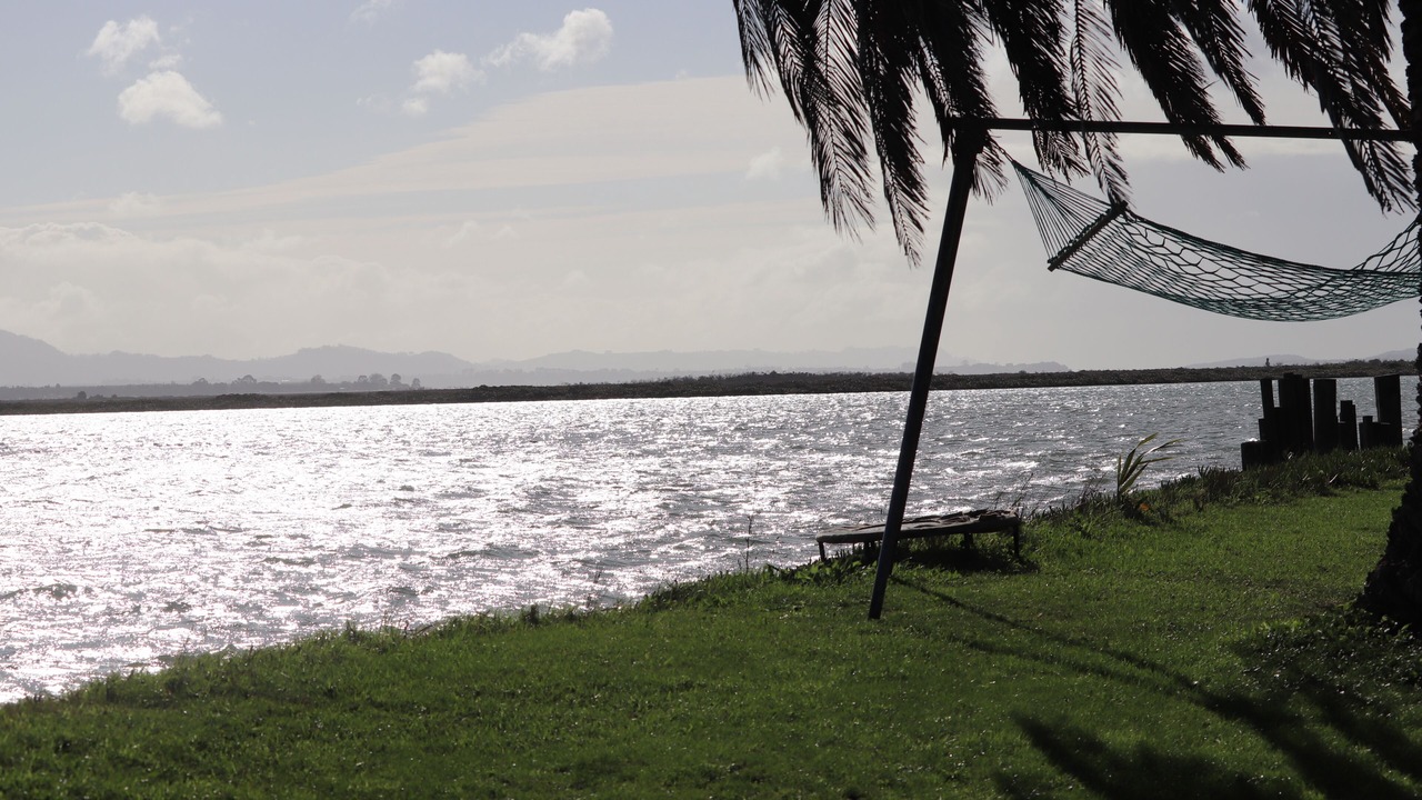 Photo of Others in Whakamarama