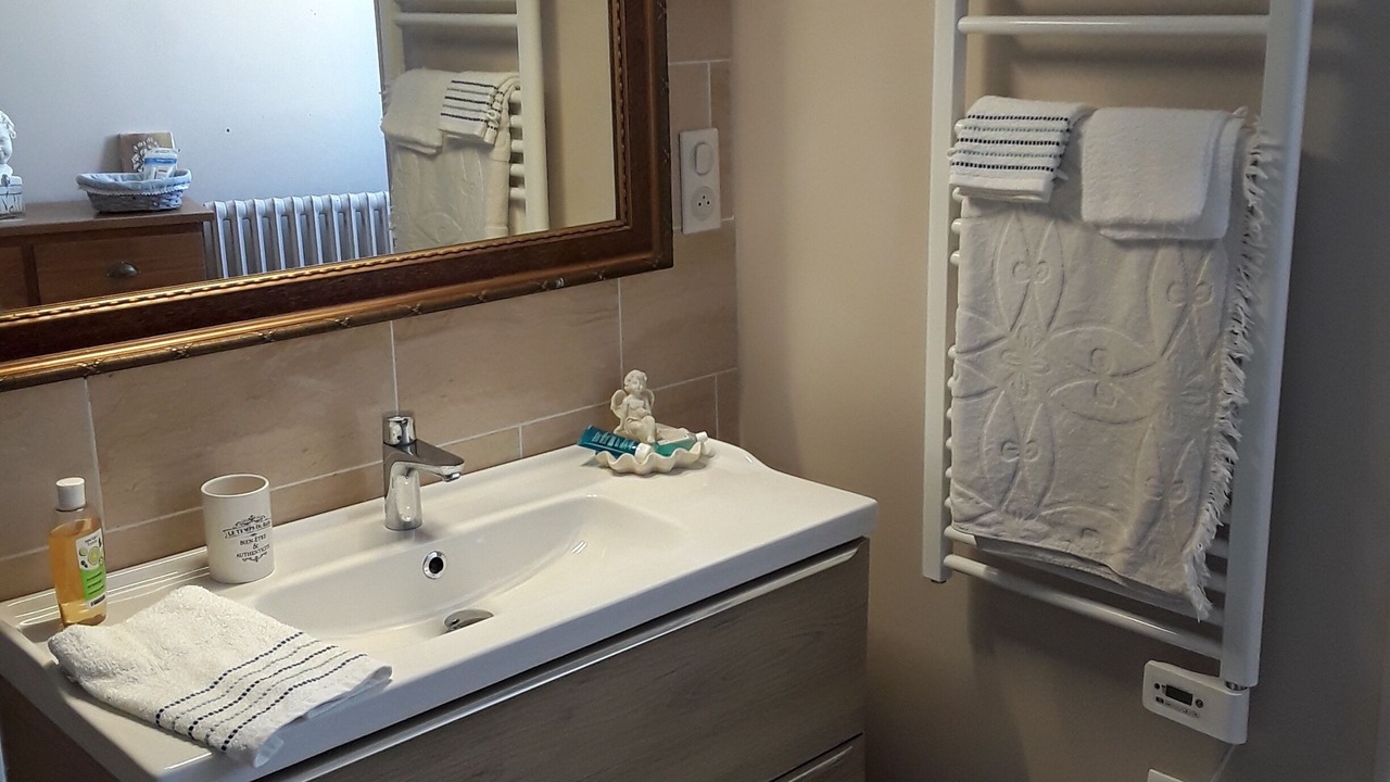 Photo of Bathroom in Saint-Germain-les-Belles