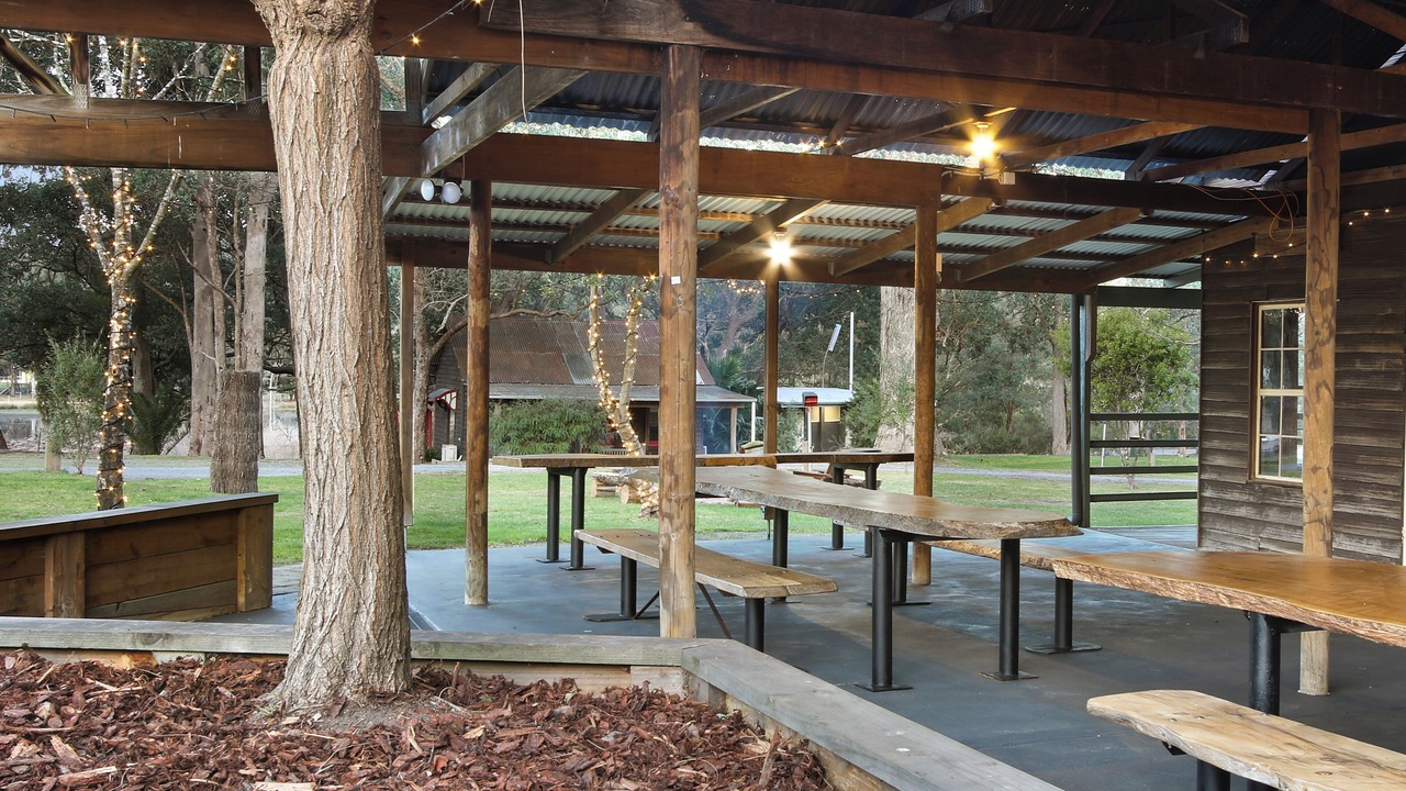 Photo of Outdoor in Nowa Nowa