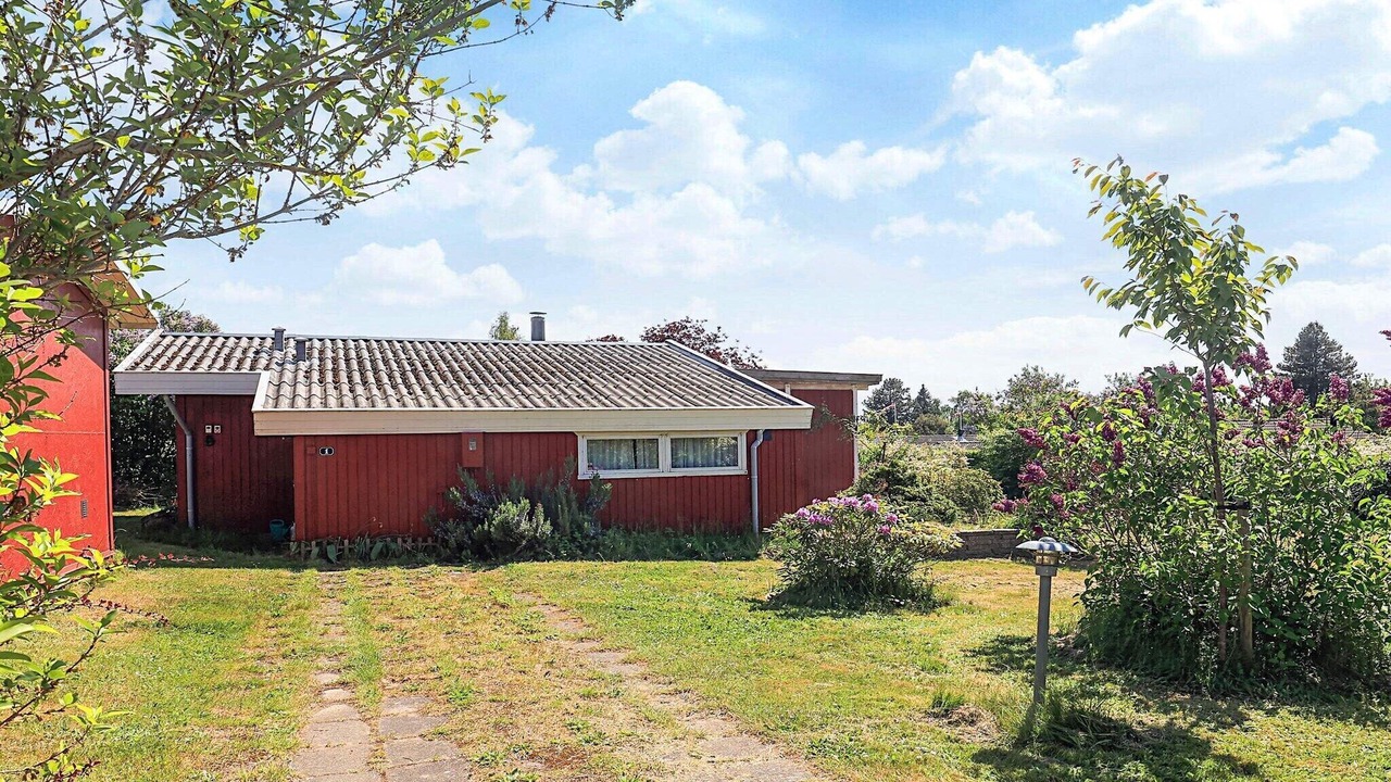 Photo of Outdoor in Bog By
