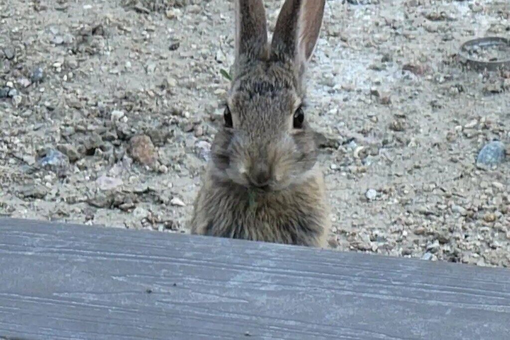 Photo of Others in Casper