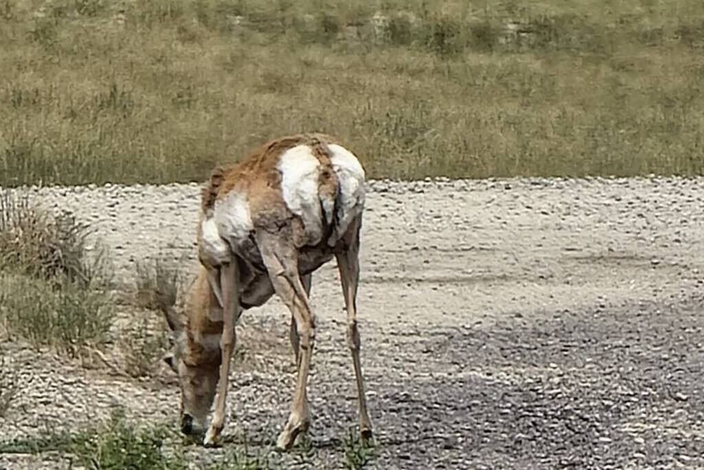 Photo of Others in Casper
