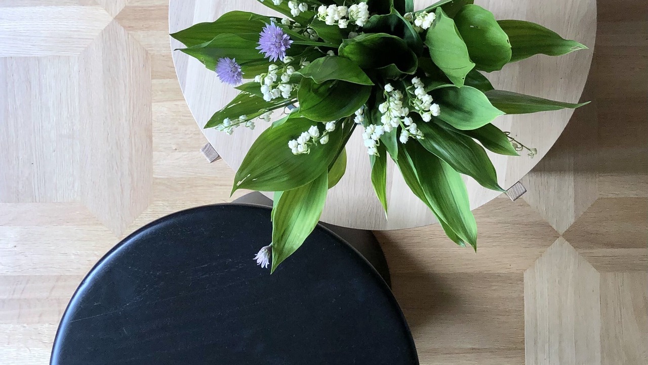 Photo of Others in Lauterbrunnen