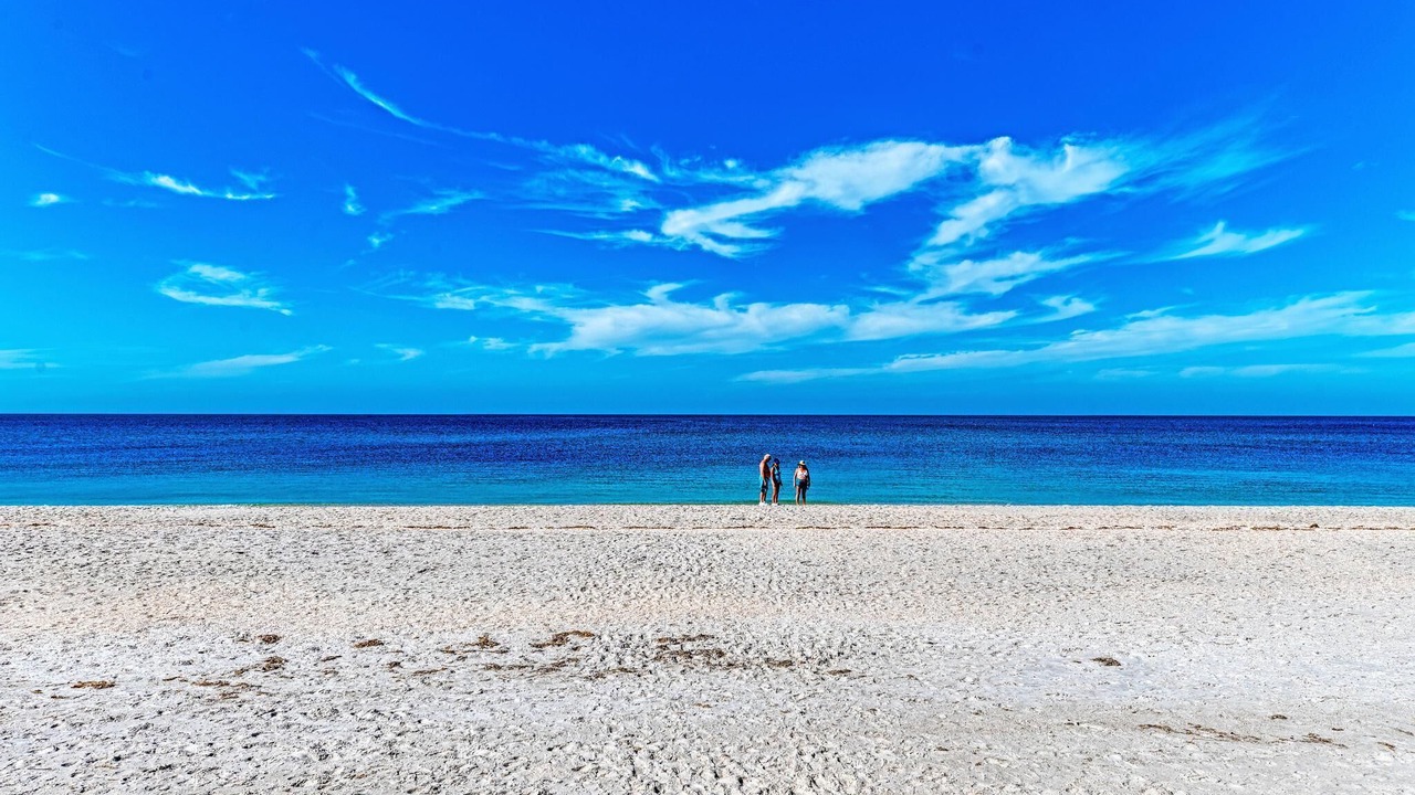 Photo of Others in Nokomis
