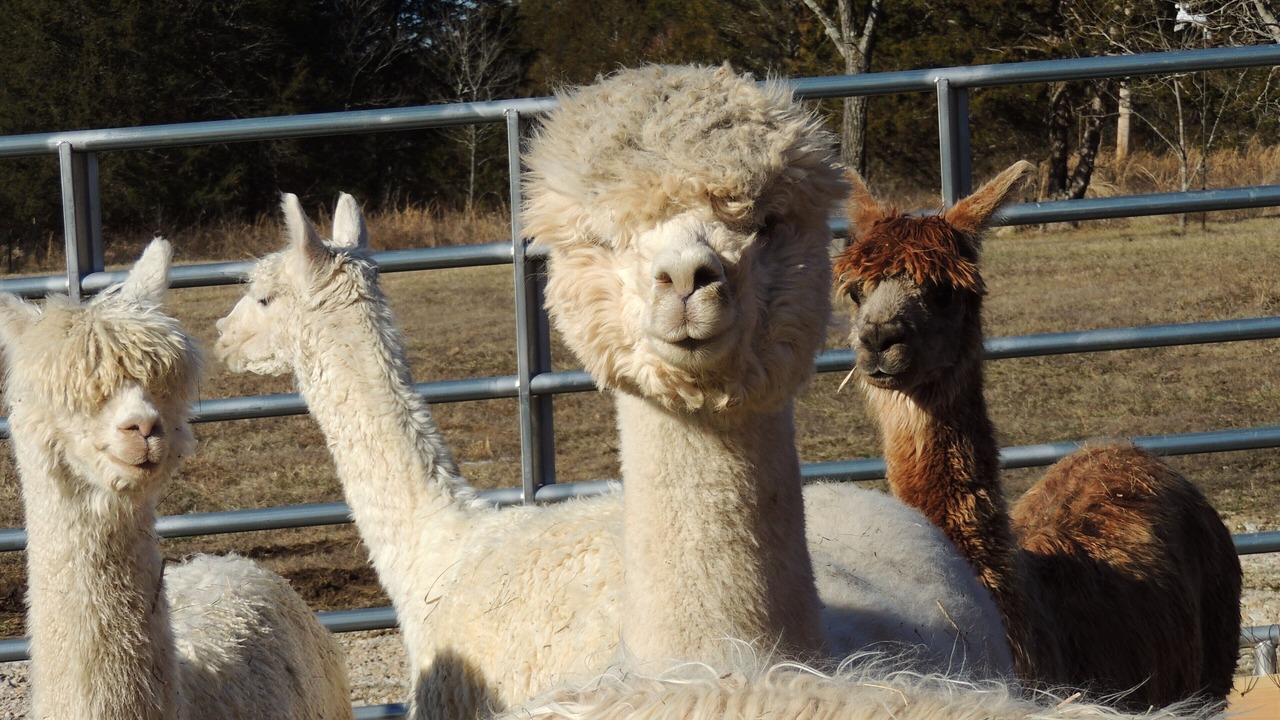 Photo of Outdoor in Glover