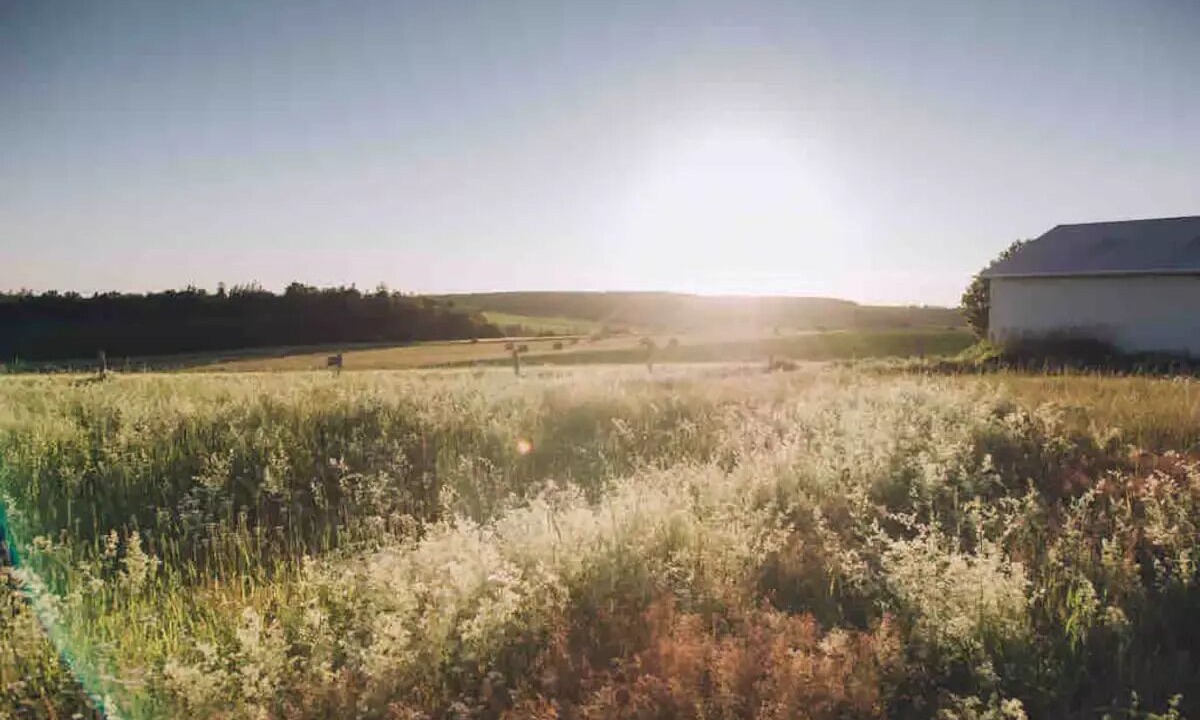 Photo of Outdoor in French River