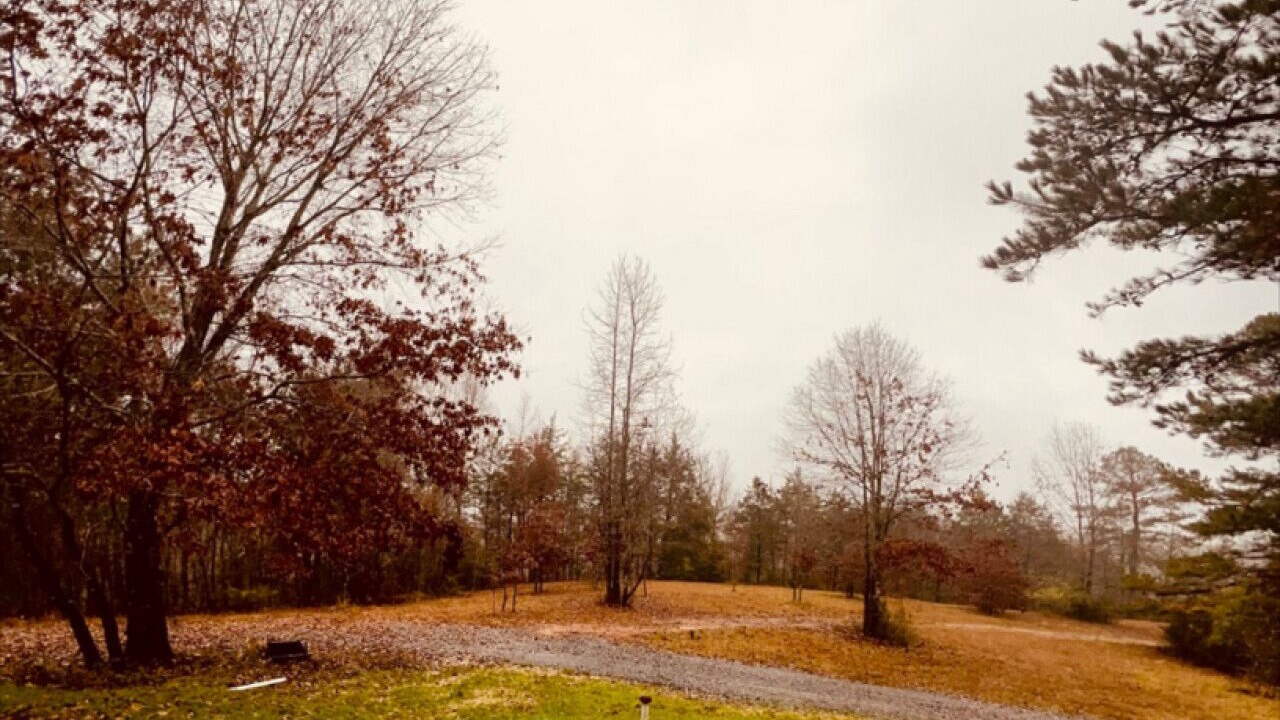 Photo of Others in Smithville