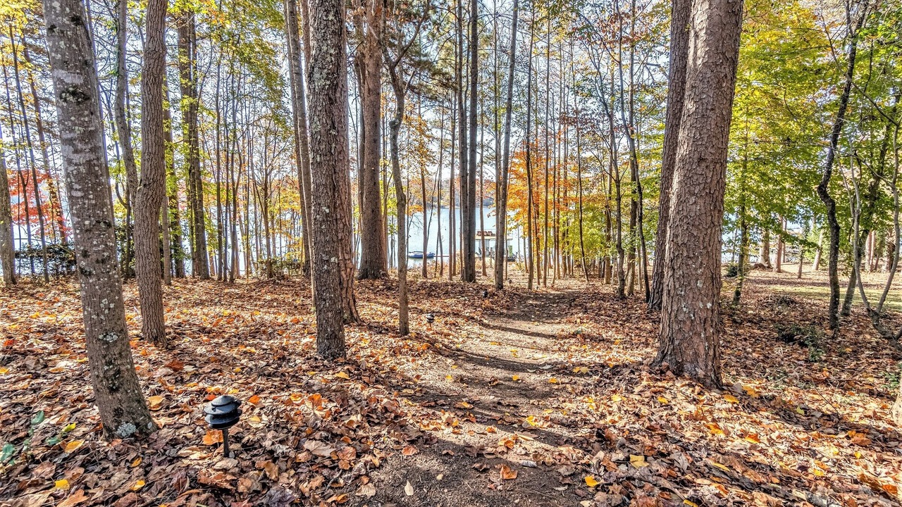 Photo of Outdoor in Gainesville