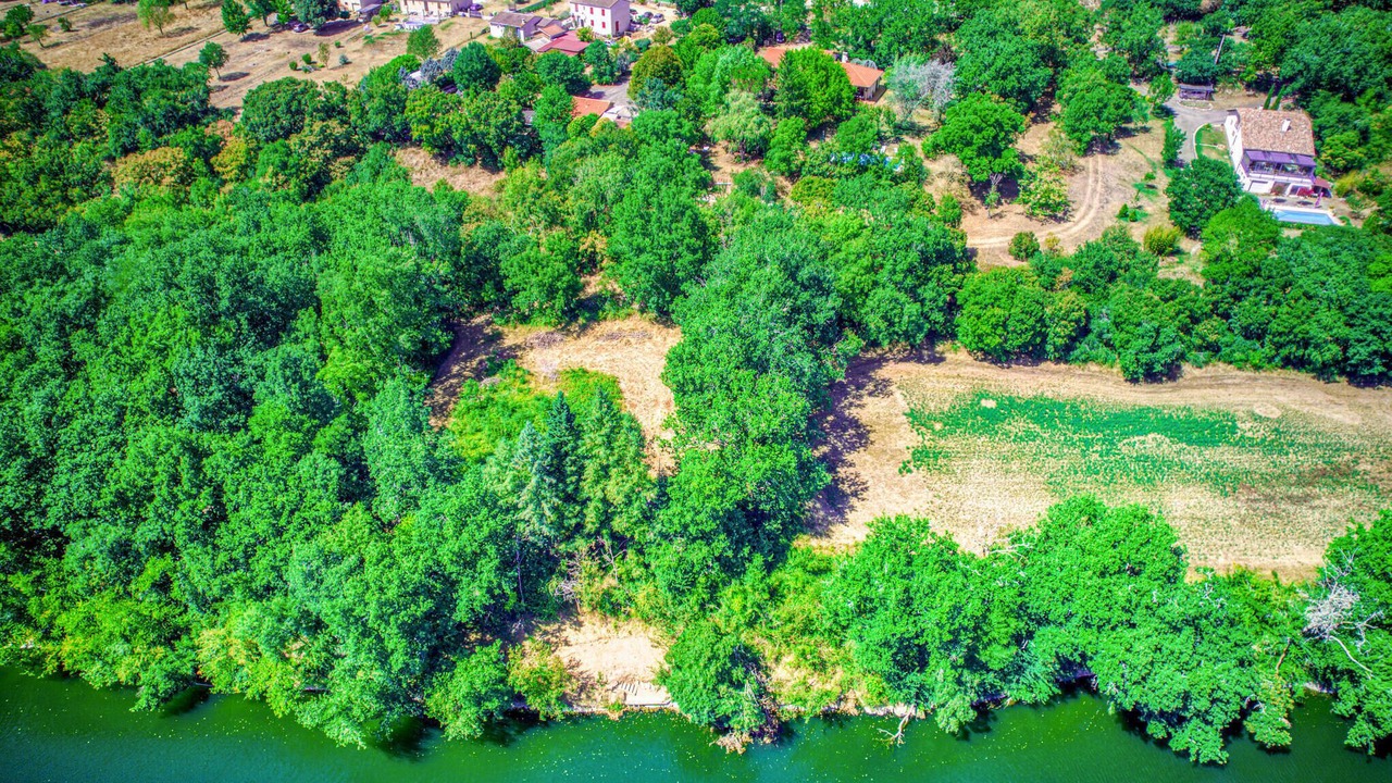 Photo of Others in Montricoux