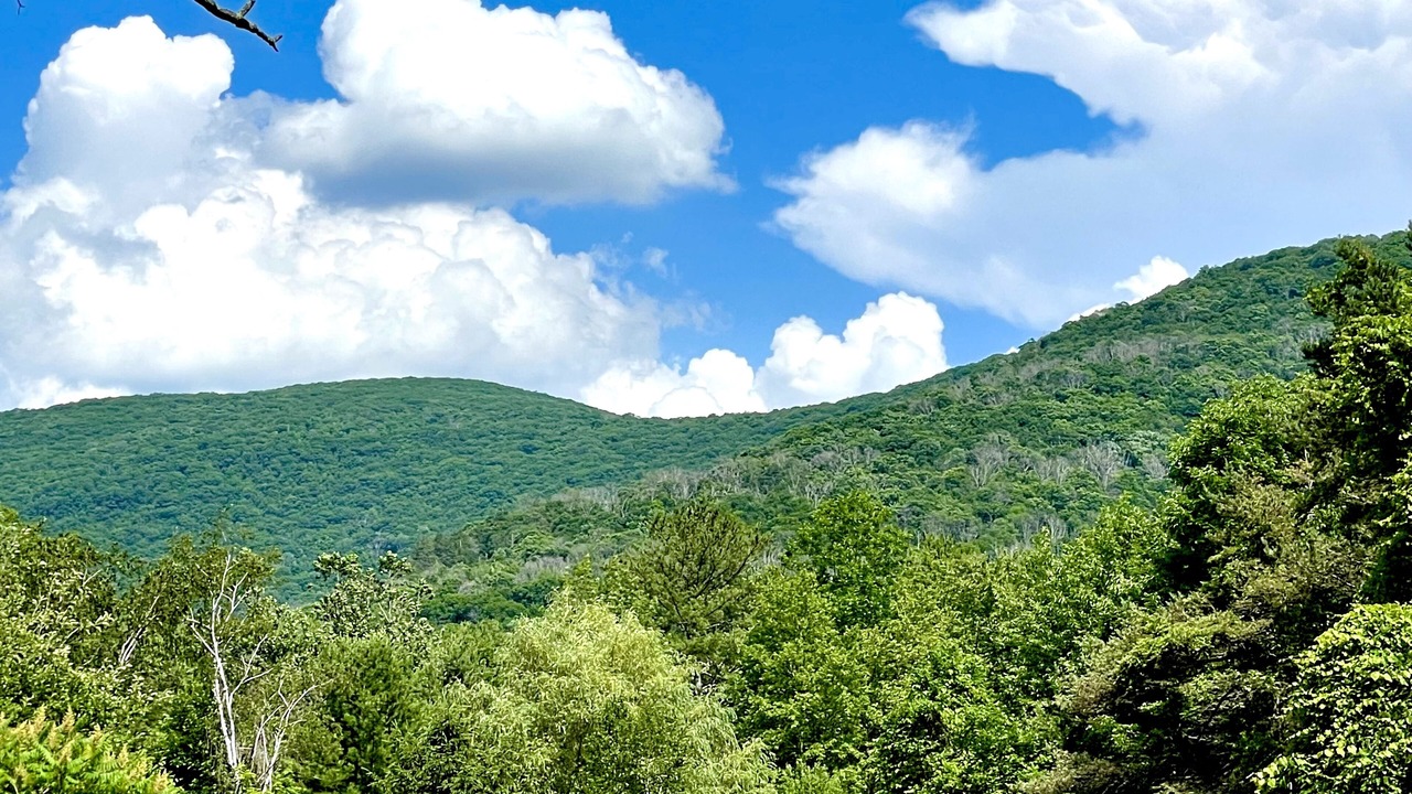 Photo of Others in Chichester