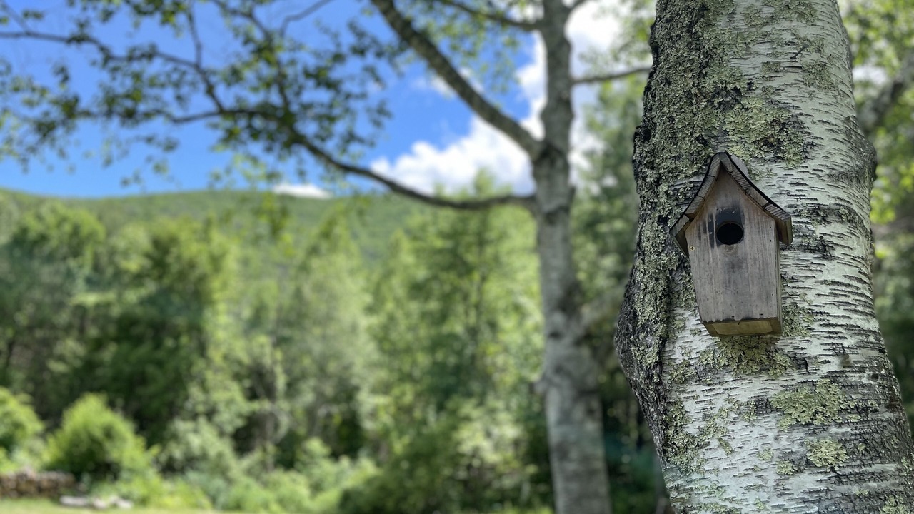 Photo of Outdoor in Chichester