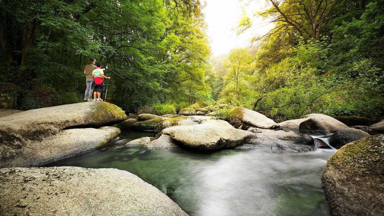 Photo of Others in Saint-Gildas