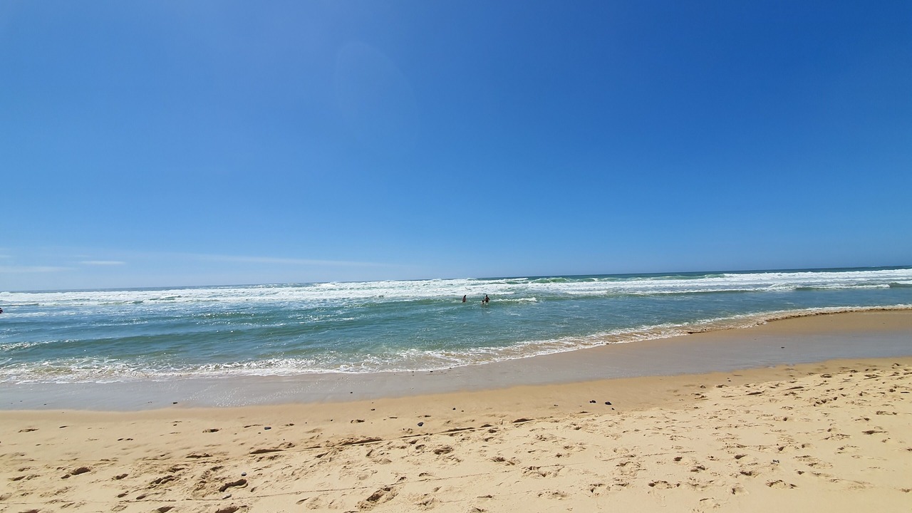Photo of Others in Saint-Laurent-de-Medoc