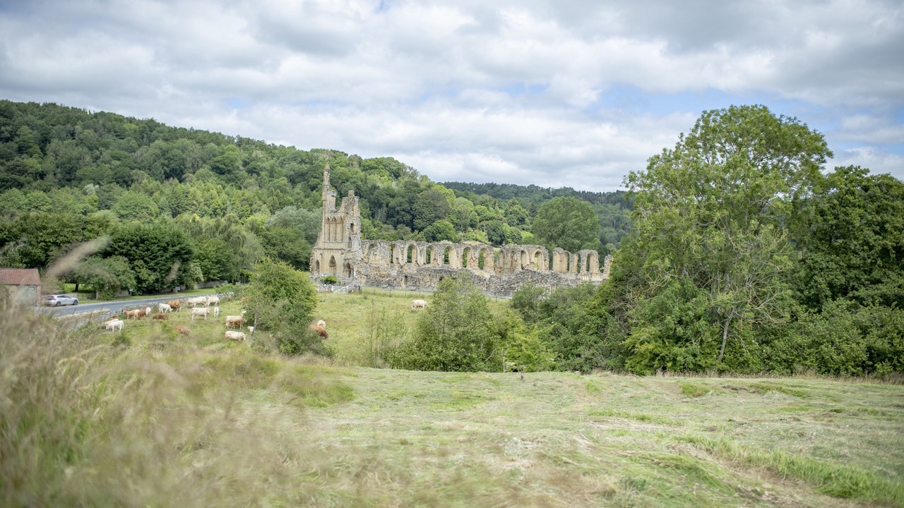 Photo of Others in Ampleforth