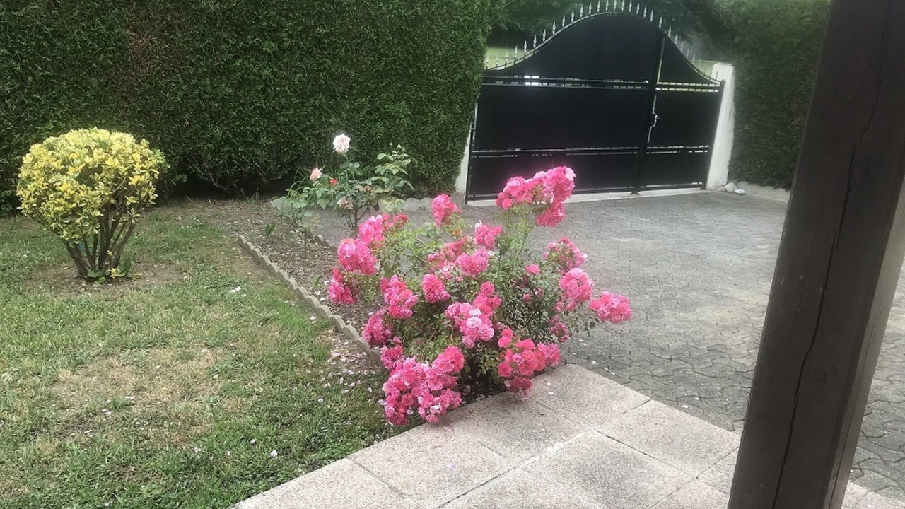 Photo of Outdoor in Lourdes