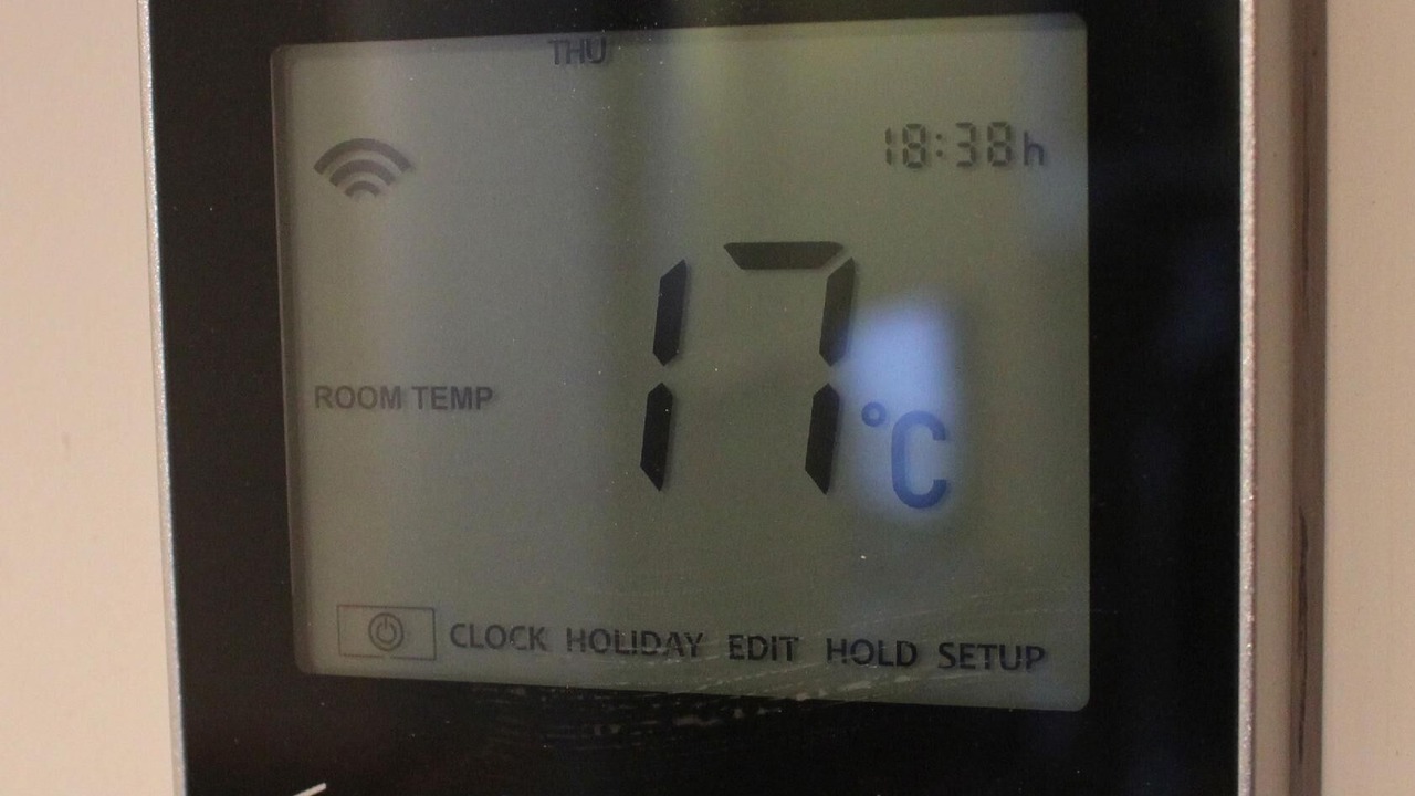 Photo of Others in Shaldon