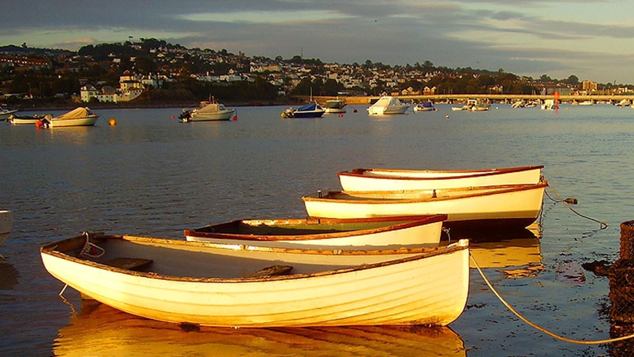 Photo of Others in Stokeinteignhead