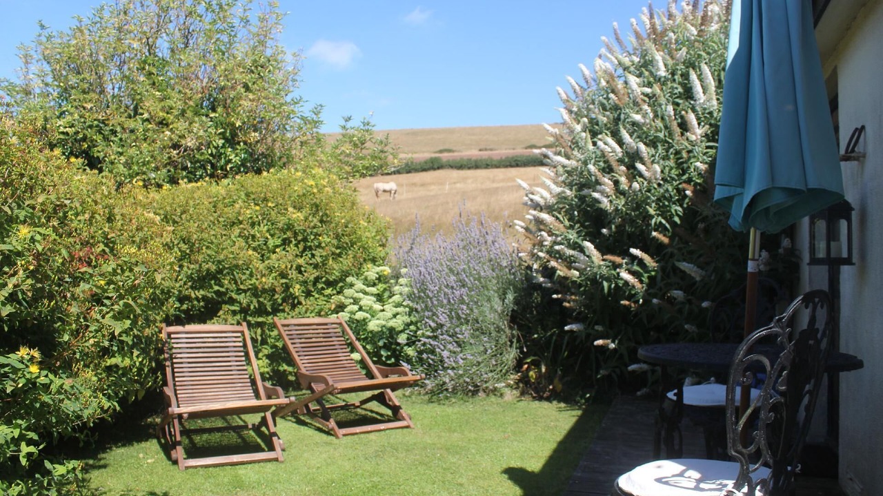 Photo of Patio Balcony in Stokeinteignhead