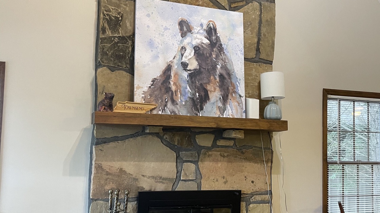 Photo of Livingroom in Townsend
