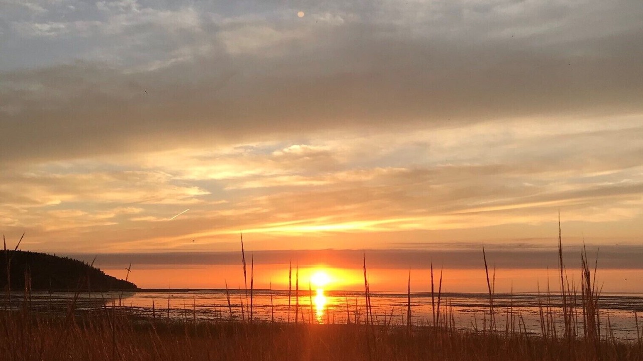 Photo of Others in Belfast