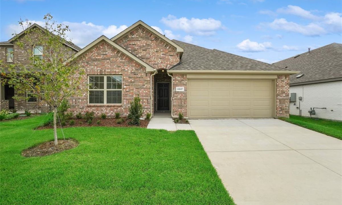Photo of Outdoor in Forney