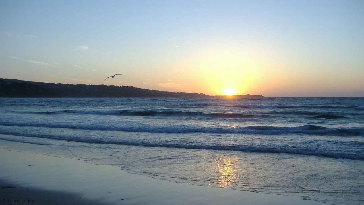 Photo of Others in St Erth Praze