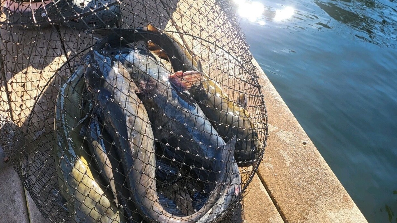 Photo of Outdoor in Chickamauga Lake