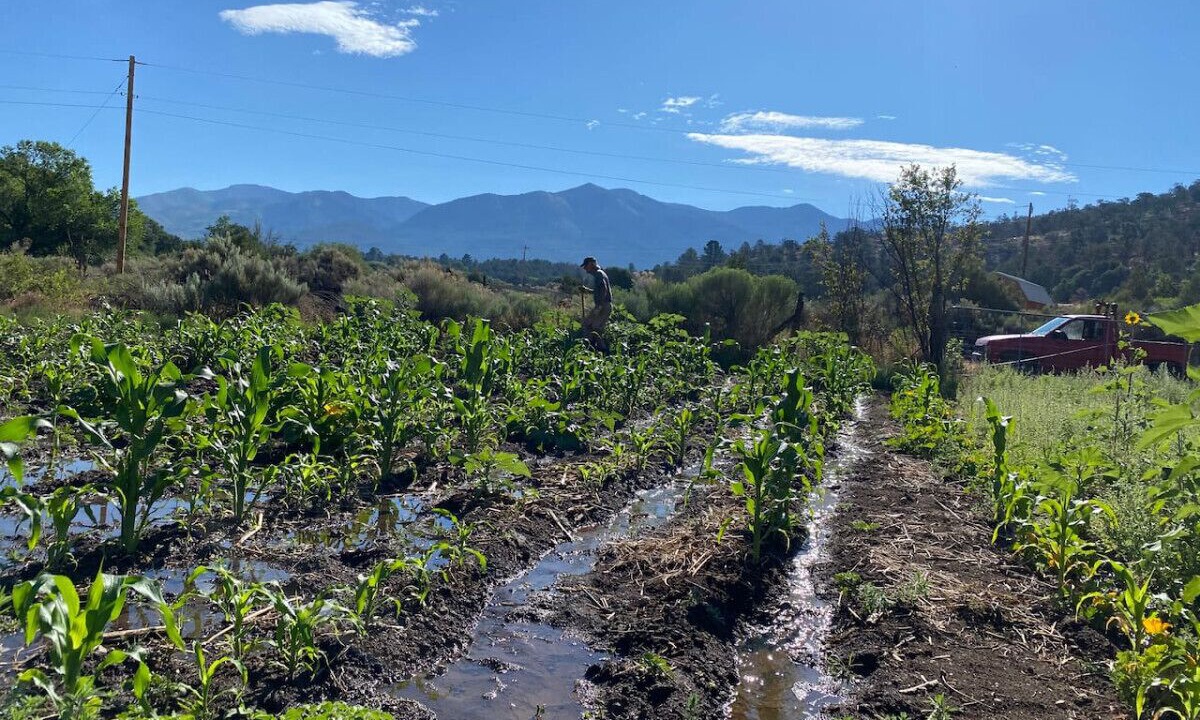 Photo of Others in San Cristobal