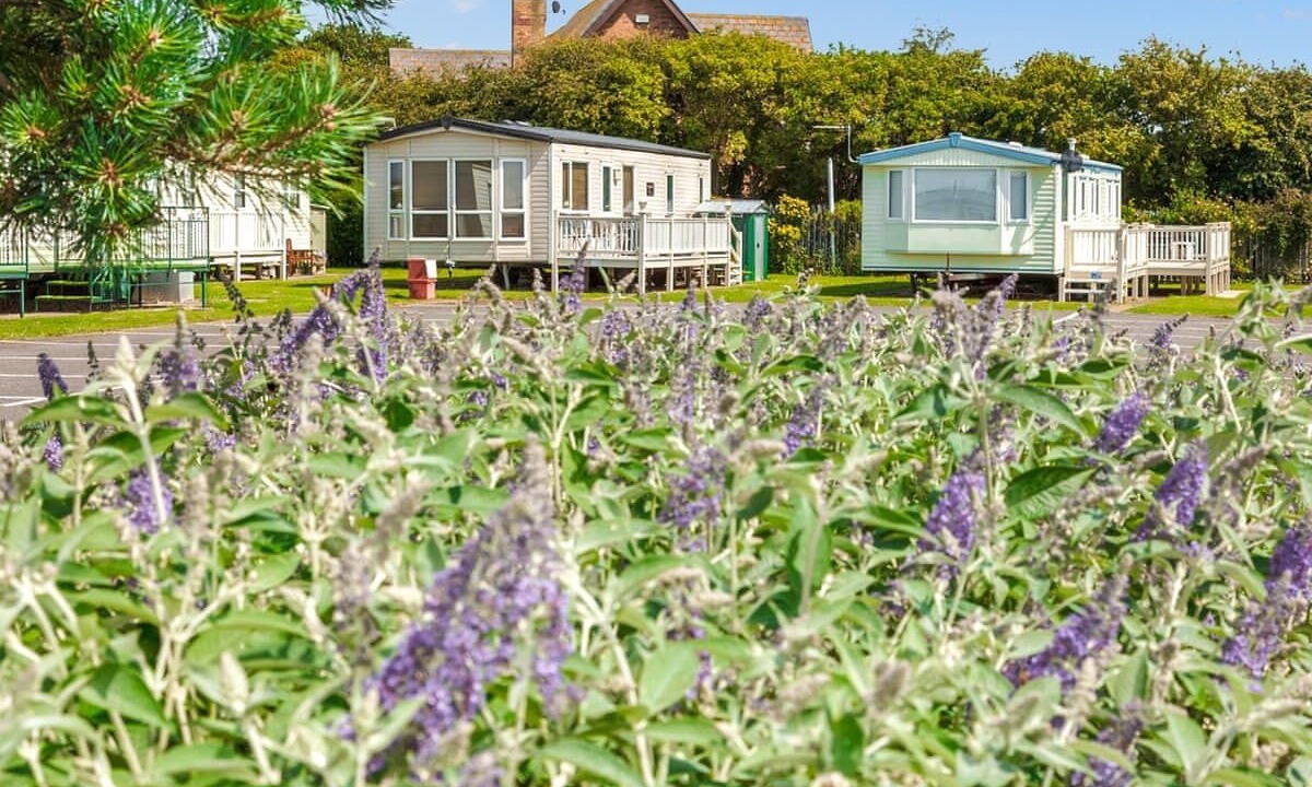 Photo of Others in Chapel Saint Leonards