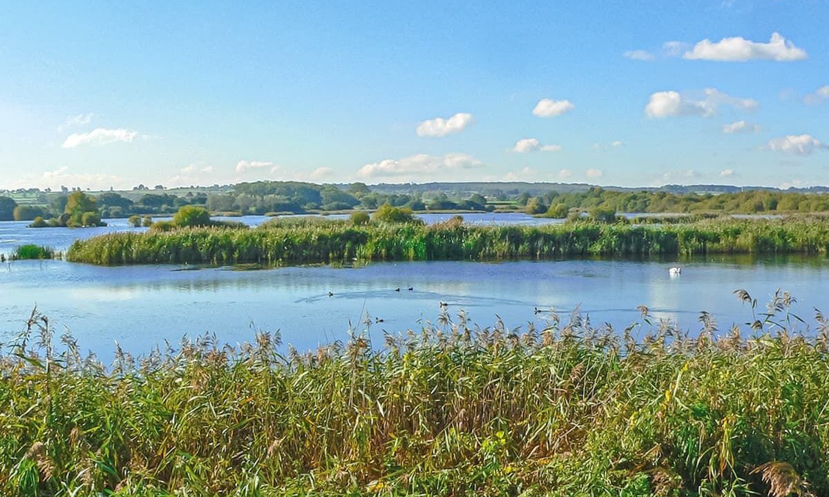 Photo of Others in East Horrington