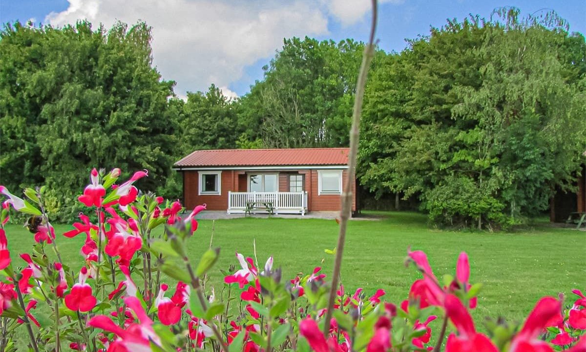 Photo of Others in East Horrington