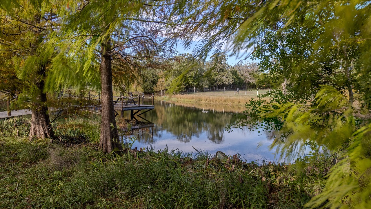 Photo of Outdoor in Cedar Creek