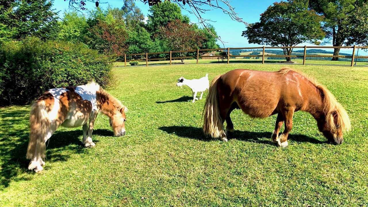 Photo of Outdoor in Bardos