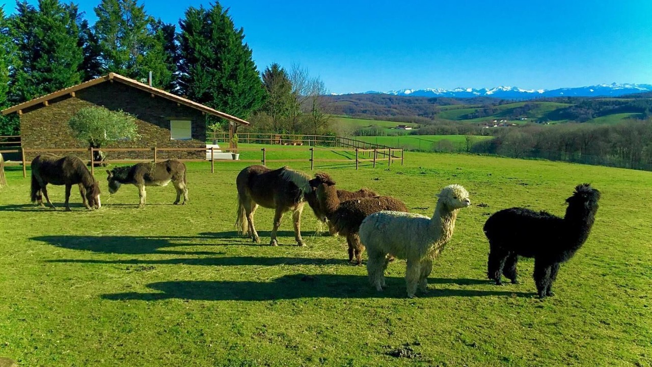 Photo of Others in Bardos