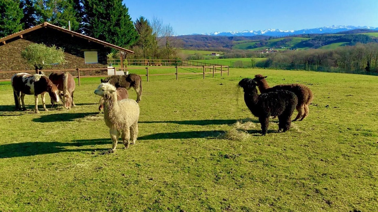 Photo of Outdoor in Bardos