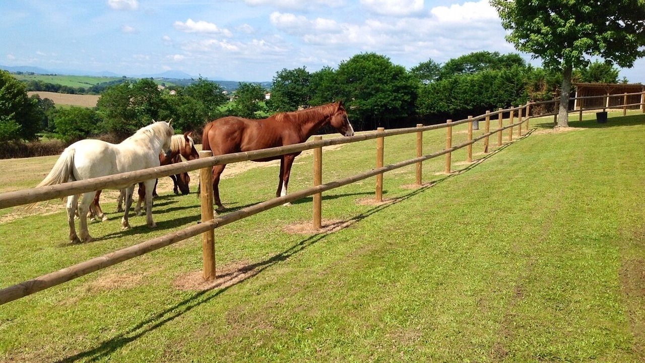 Photo of Others in Bardos