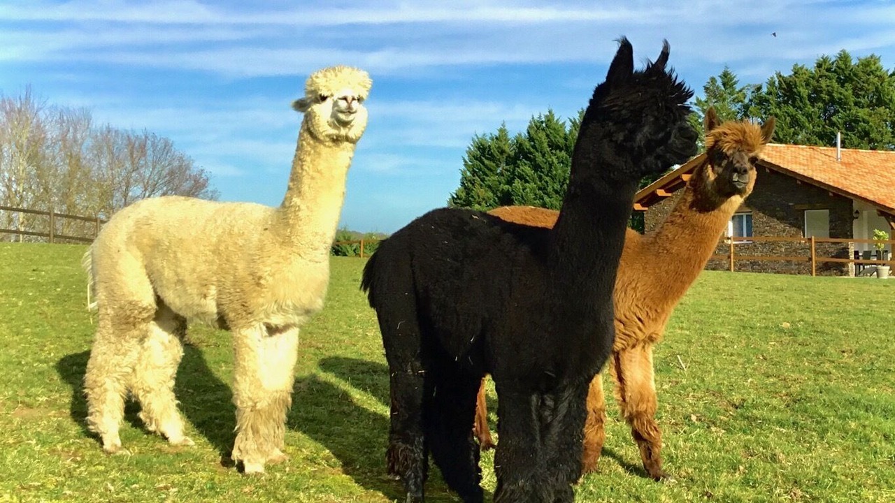 Photo of Outdoor in Bardos