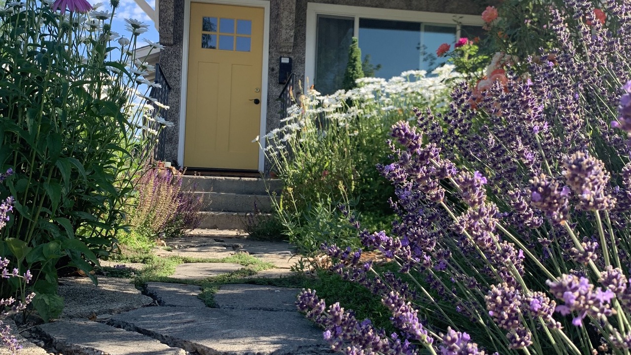 Photo of Outdoor in Medford