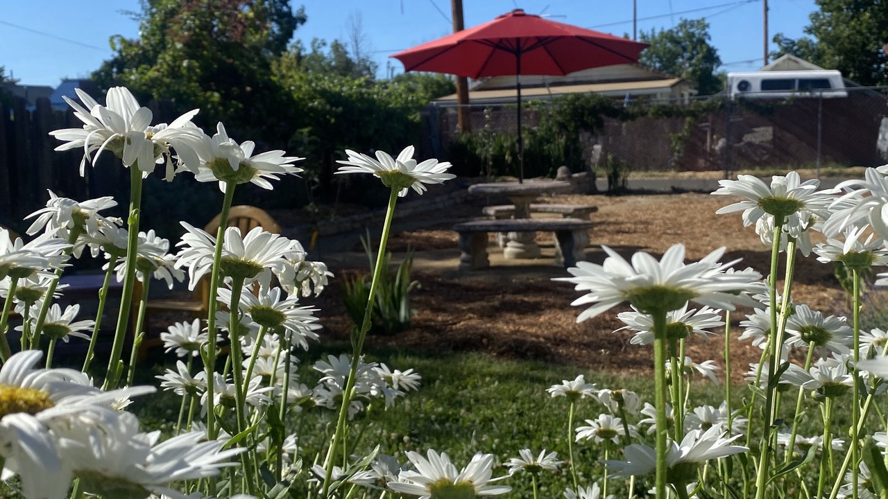 Photo of Outdoor in Medford