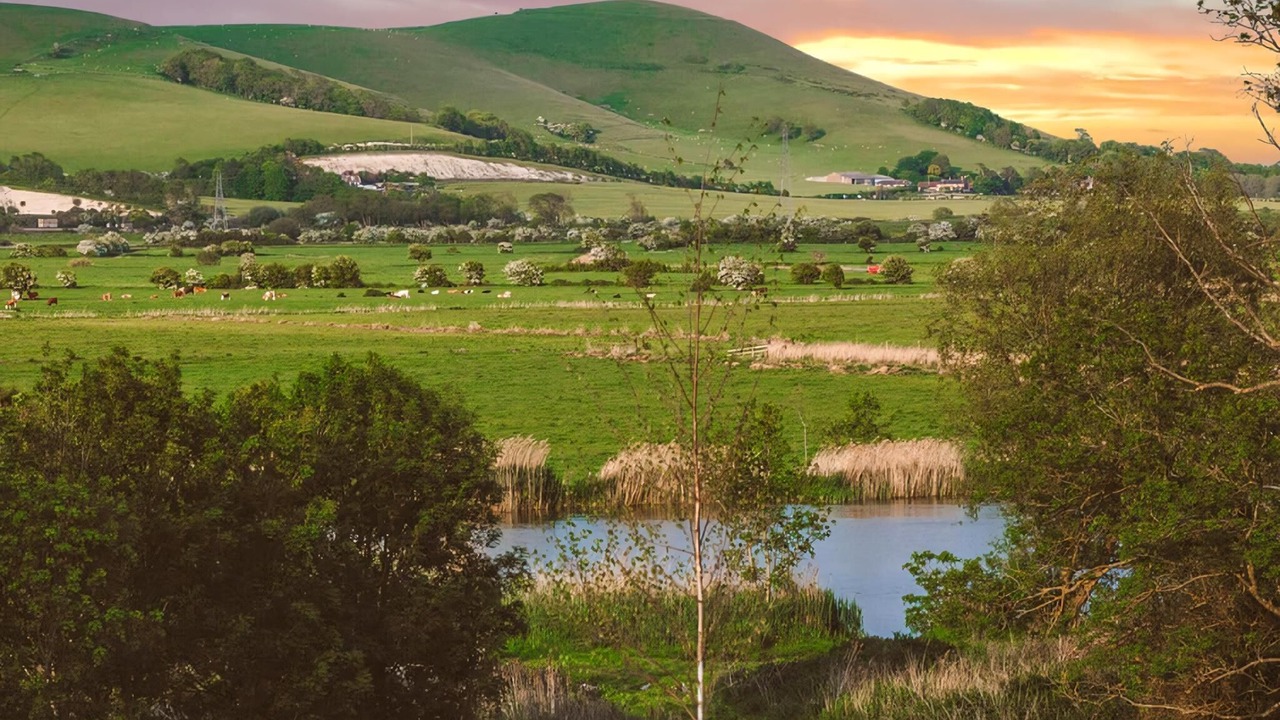 Photo of Others in Lewes