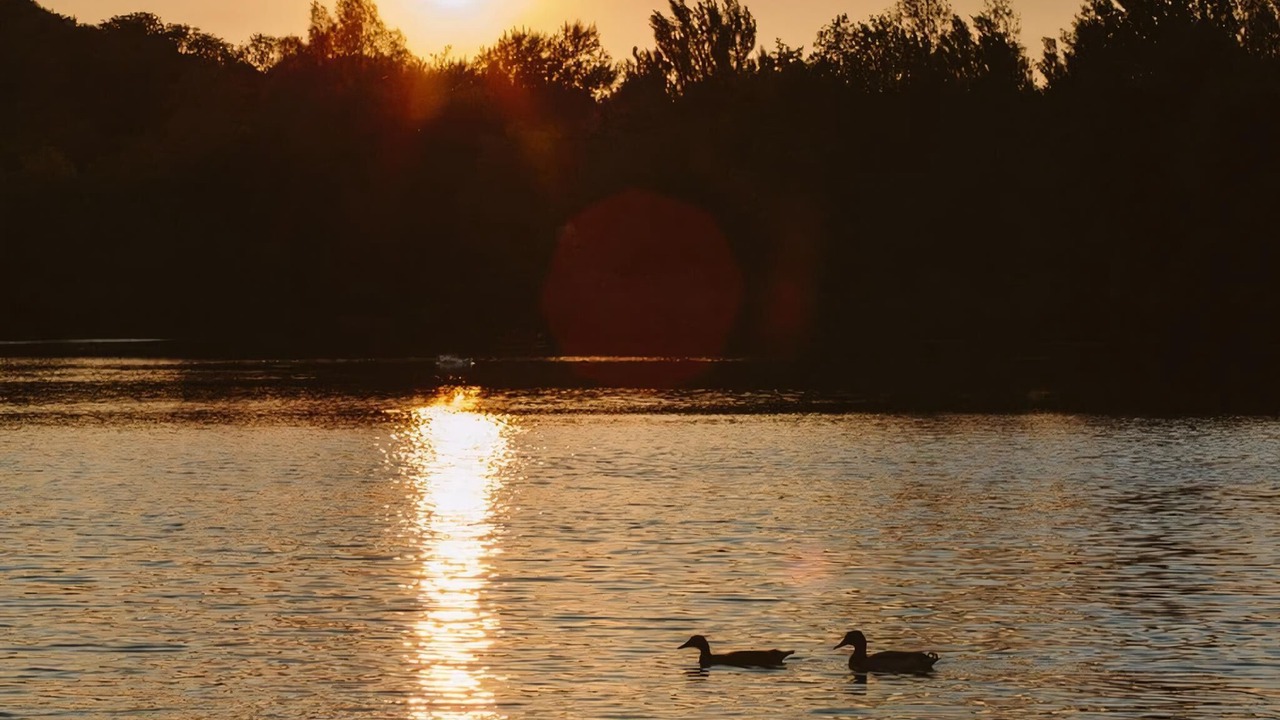 Photo of Others in Lewes