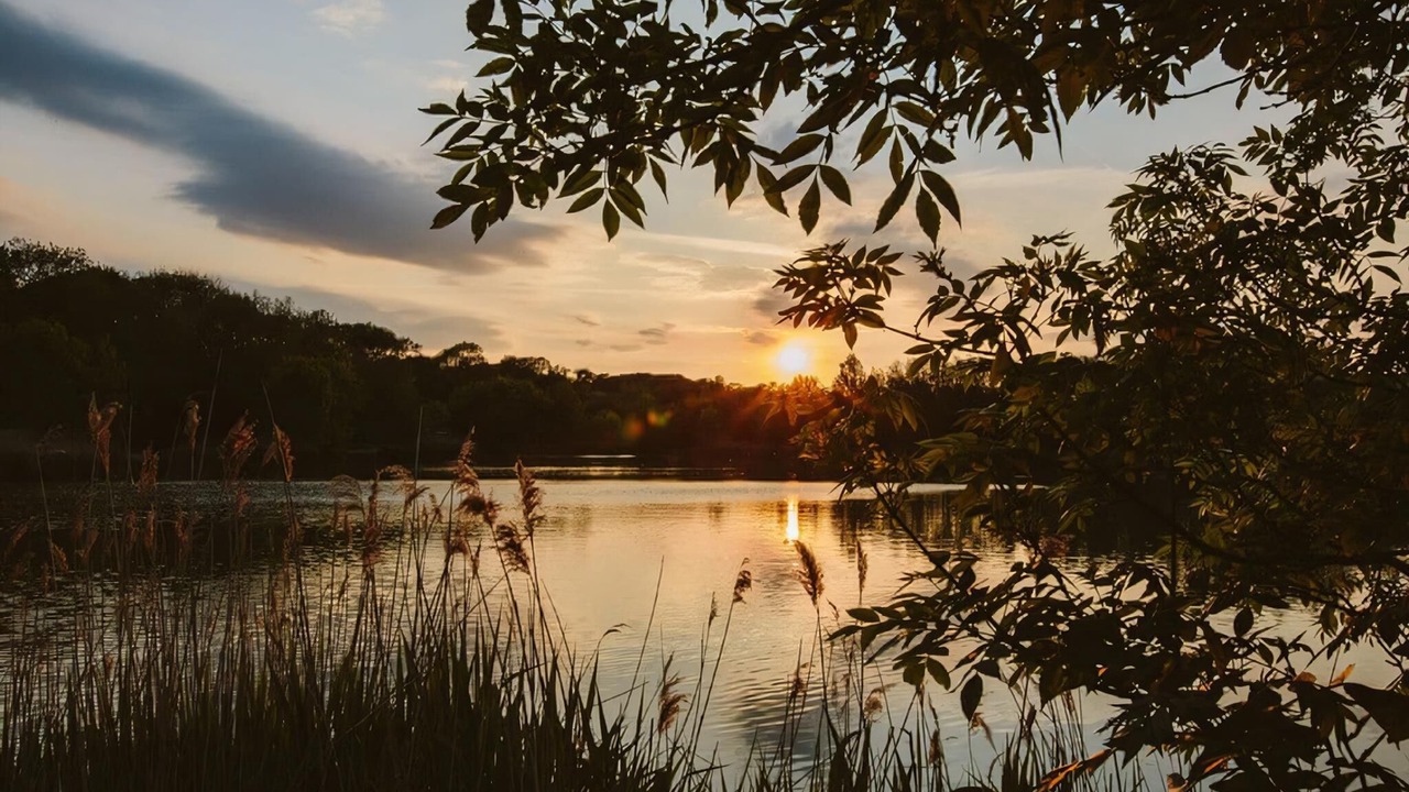 Photo of Others in Lewes