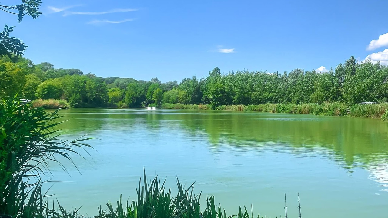 Photo of Others in Lewes