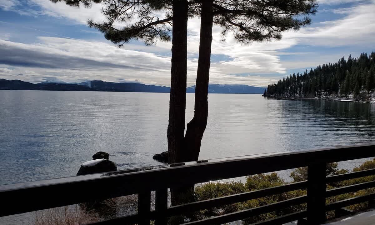 Photo of Outdoor in Dollar Point