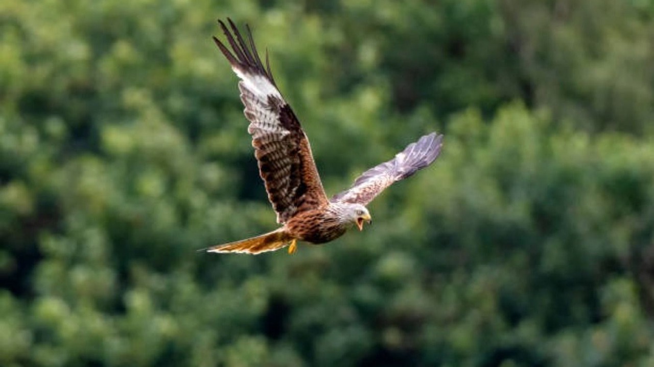 Photo of Outdoor in Pitlochry