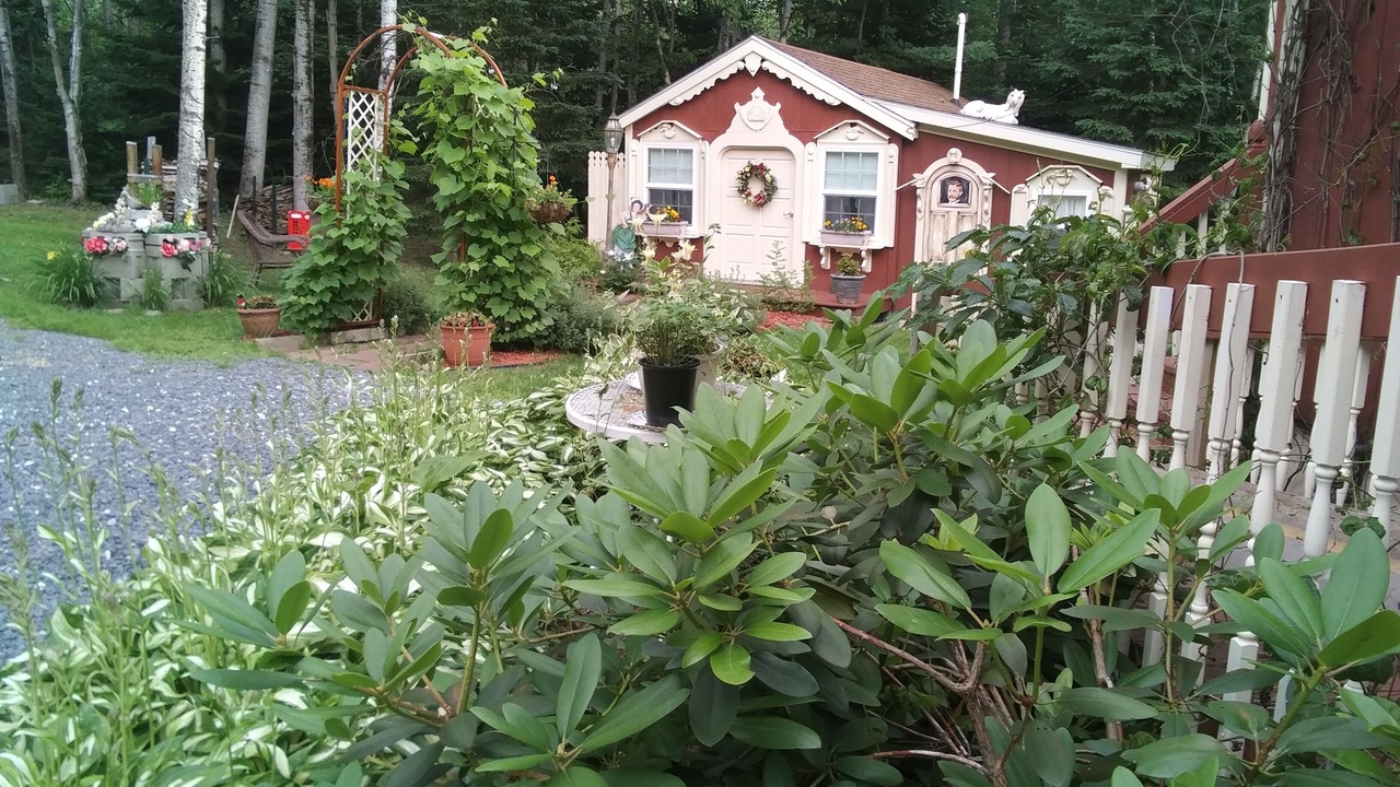 Photo of Outdoor in Fort Fairfield