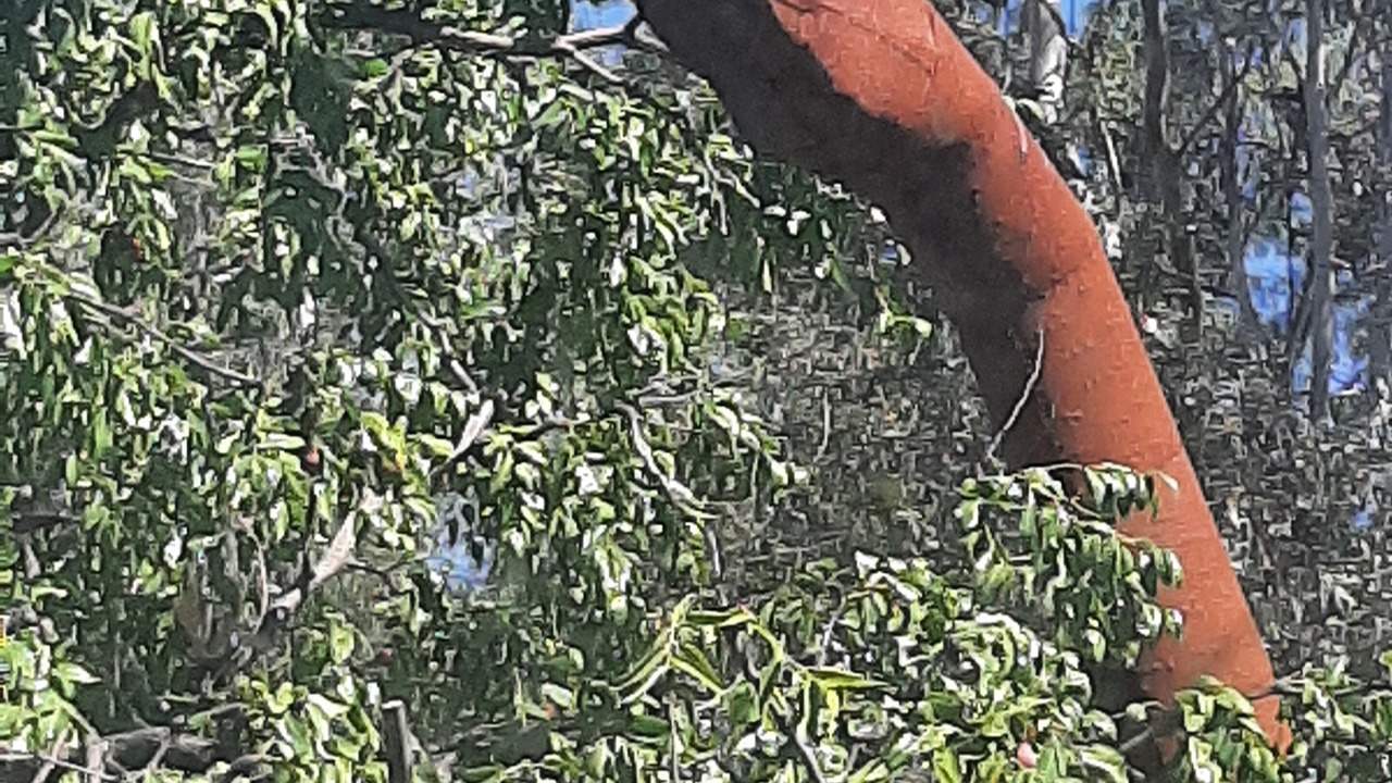 Photo of Outdoor in Moreno Valley